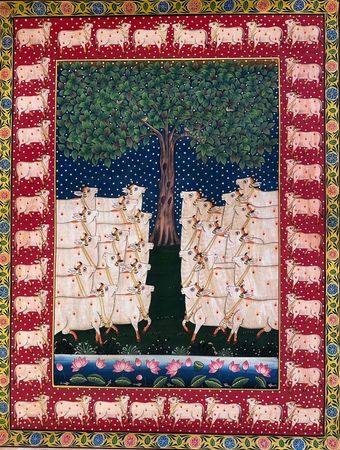Gallery Image 1