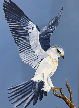 Gallery Image 1