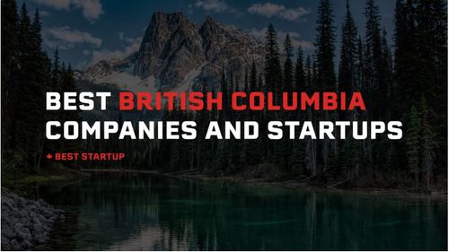 33 Top 3D Technology Startups and Companies in British Columbia