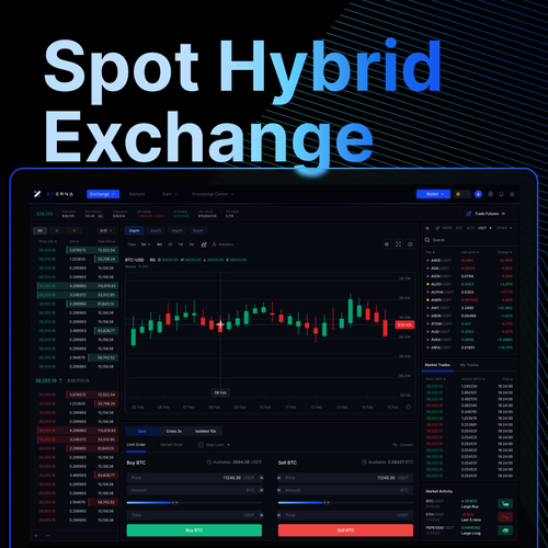 Spot Hybrid DEX