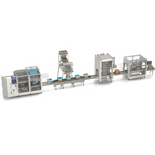 Turnkey packaging line for dried fruits & nuts