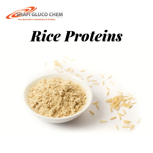 Rice Proteins