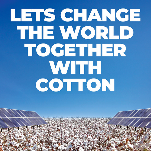 Cotton Tissues/Wipes