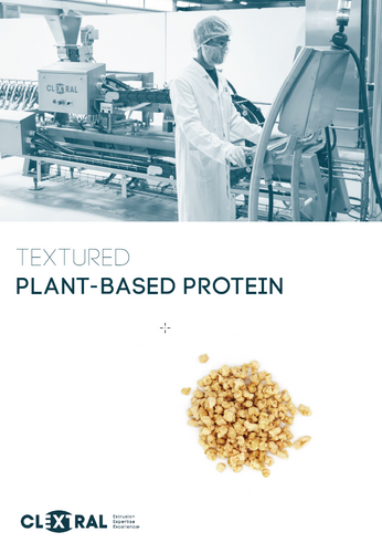 Textured Plant based Protein