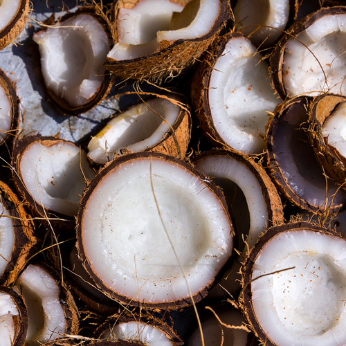 Coconut and Palm MCT: Medium Chain Triglycerides