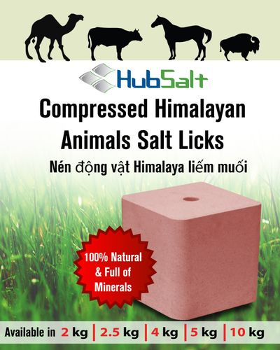 HubSalt Cattle Lick