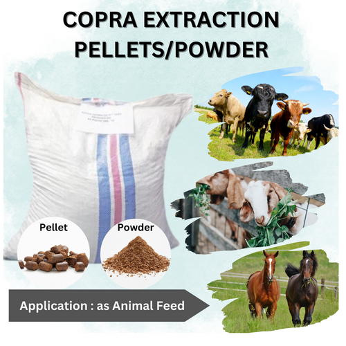 Copra Extraction Pellets/ Powder - Gulfood Manufacturing 2023