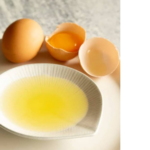 Pasteurized Whole Egg Liquid - Gulfood Manufacturing 2023