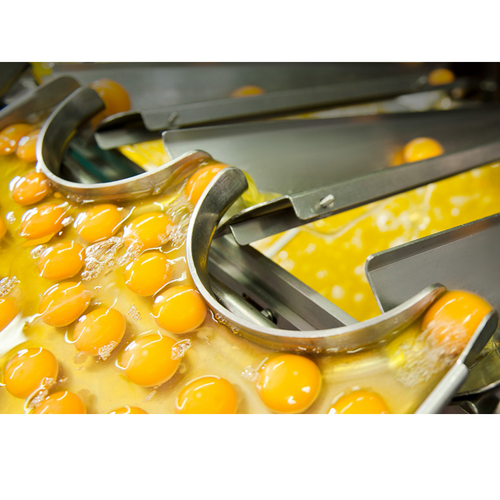 Pasteurized whole Egg 10 salted Gulfood Manufacturing 2023