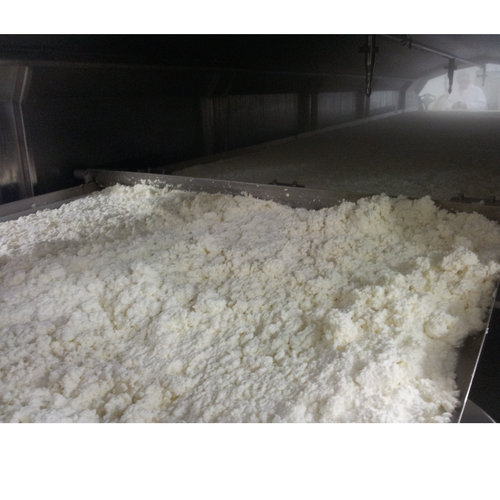 Automatic systems for ricotta production and whey cheese