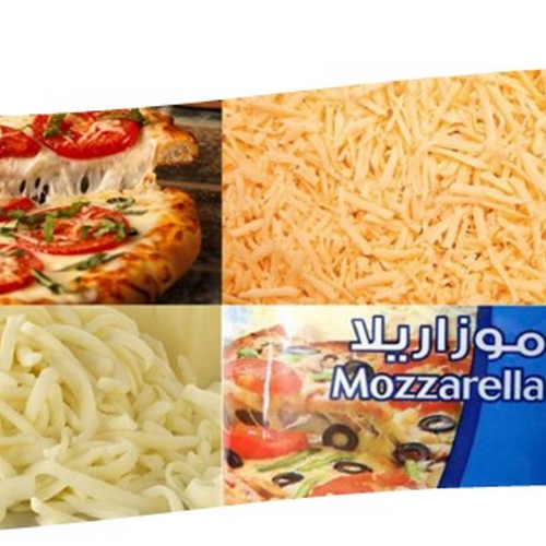 DIMA MOZZARELLA PIZZA CHEESE PRODUCTION LINE