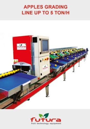 Apples Grading Line up to 5 tons/h