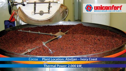 Case History Cocoa