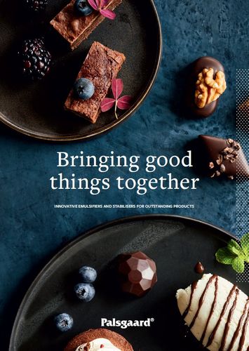 Palsgaard Company Brochure