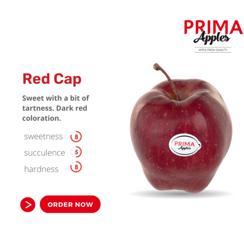 Fresh Apple