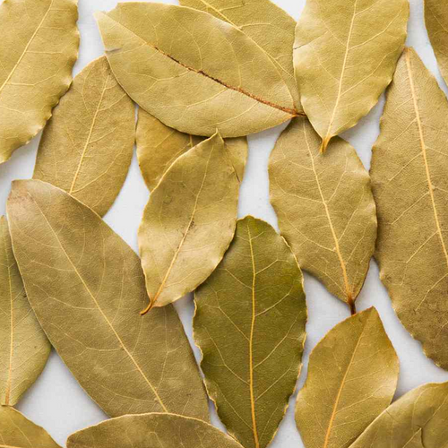 Bay Leaves From India Natural Sun Dry
