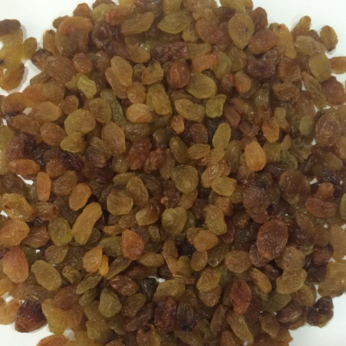 Indian Export Quality Raisins