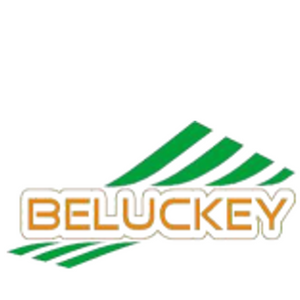 BELUCKEY&WENGFU TECHNOLOGY CO.,LTD.