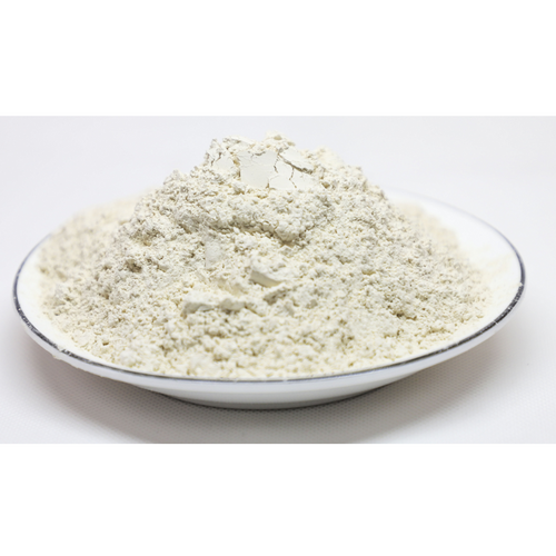 rice protein  powder