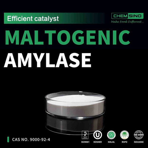 Maltogenic Amylase