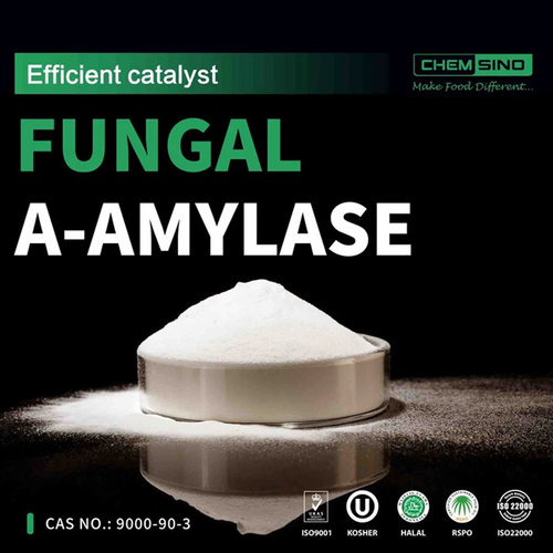 Fungal Amylase