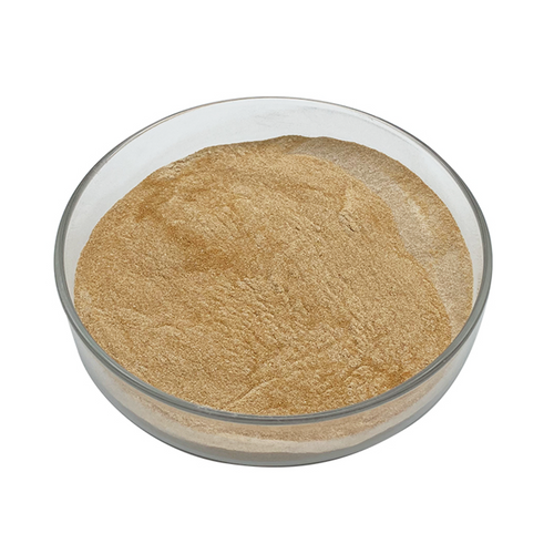 Glucoamylase Powder