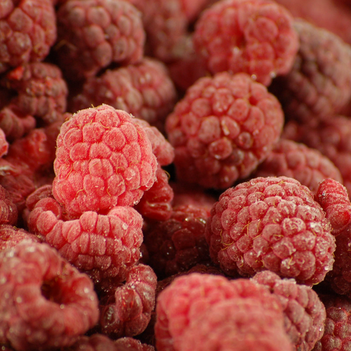 RASPBERRY IQF 100% WILLAMETTE SERBIA
