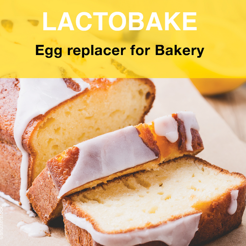 Lactobake - egg replacer in bakery