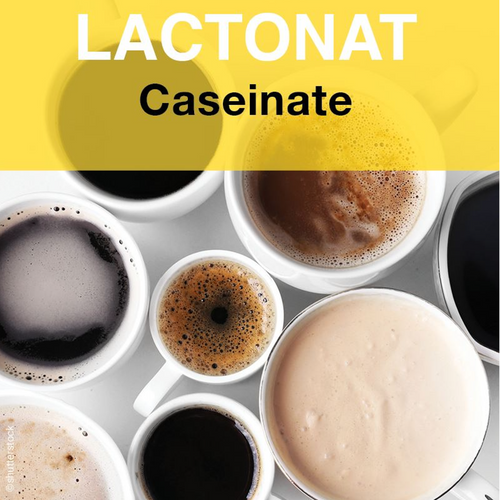 Lactonat - caseinate, highly functional milk proteins for various applications