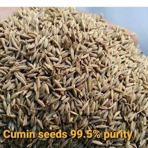 cumin seeds Gulfood Manufacturing 2023