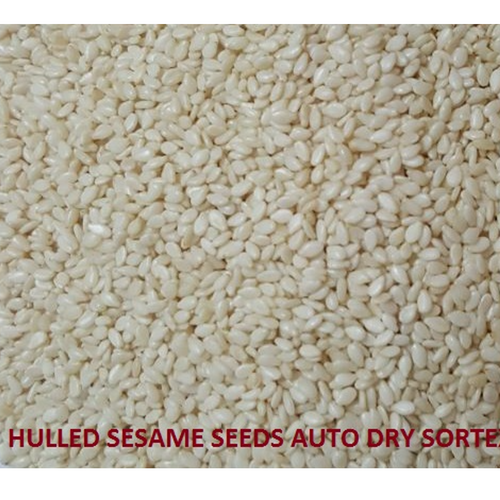 HULLED SESAME SEEDS Gulfood Manufacturing 2023