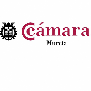 Cámara Comercio Murcia