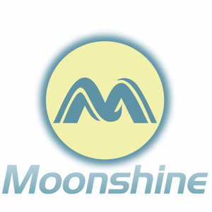 Shanghai Moonshine Technology Pvt Ltd