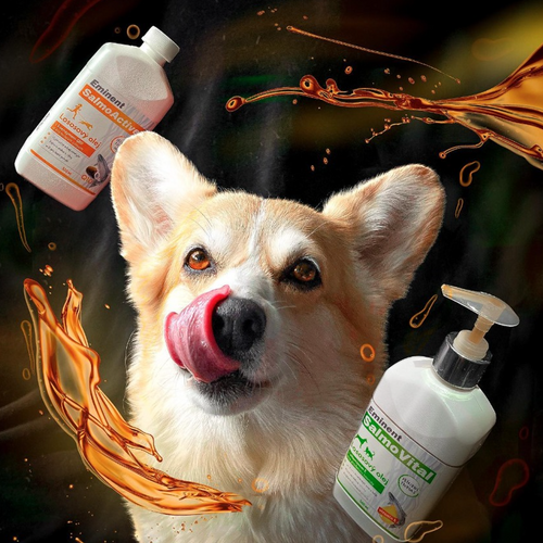 Salmon oils for pets