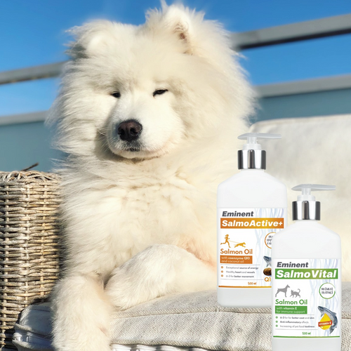 Salmon oils for pets
