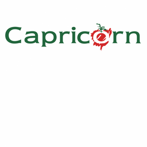 Capricorn Food Products India Limited