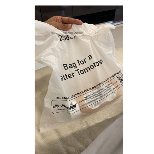 Compostable Grocery bag