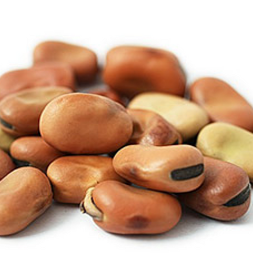 White Beans,Chickpeas,Lentils,Fava Beans,Black eyed beans,Green peas