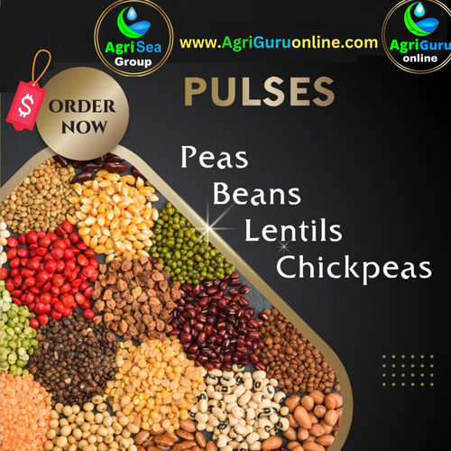 White Beans,Chickpeas,Lentils,Fava Beans,Black eyed beans,Green peas