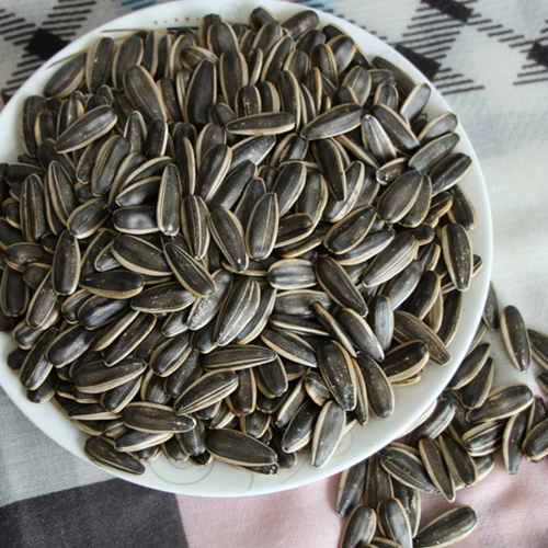 Roasted sunflower seeds
