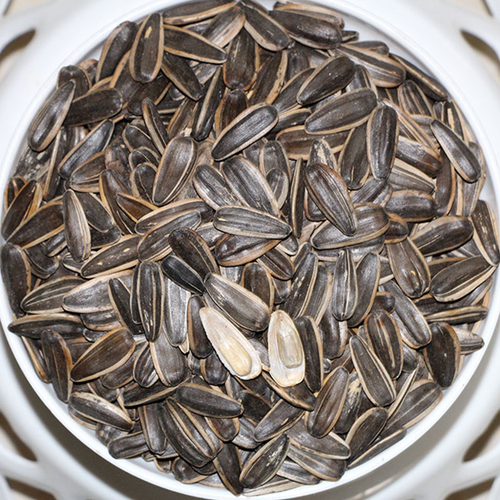 Roasted sunflower seeds