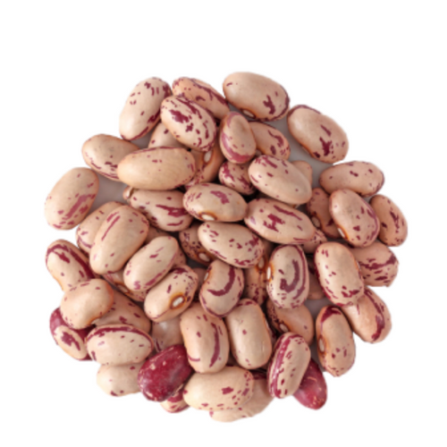 CRANBERRY BEANS