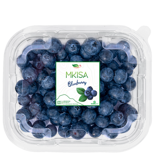 Blueberries Gulfood 2025   500x500