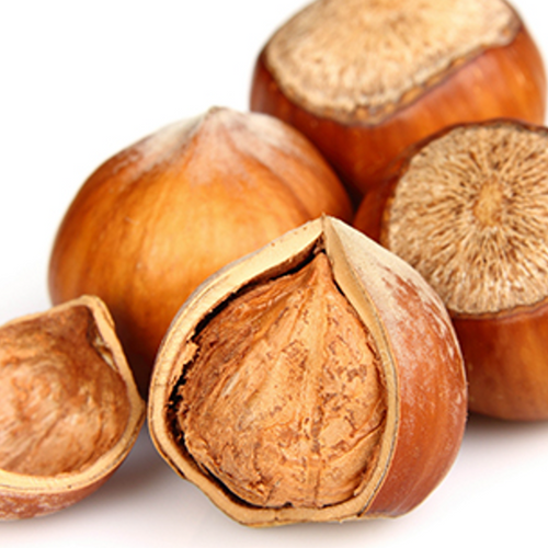 Hazelnut Inshell Gulfood 2025