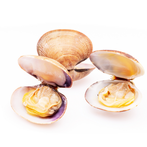 Pasteurized Clam