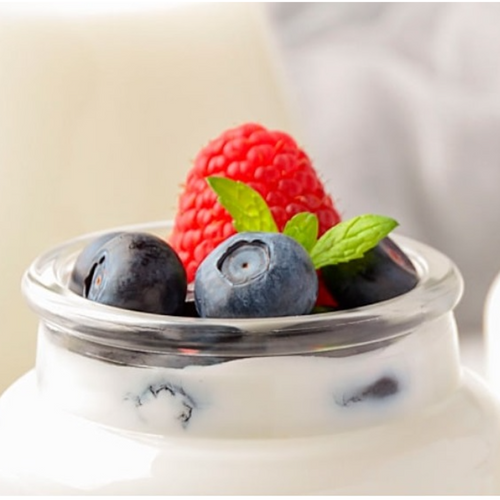 Ingredients for dairy products Gulfood 2025