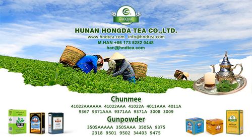 Hongda Tea Products Presentation