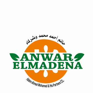 HATEM AHMED MOHAMED&HIS PARTNERS CO - ANWAR ELMADENA