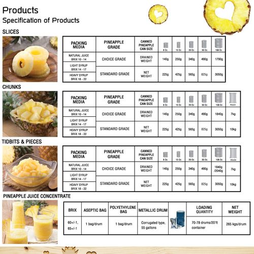 Catalog of product