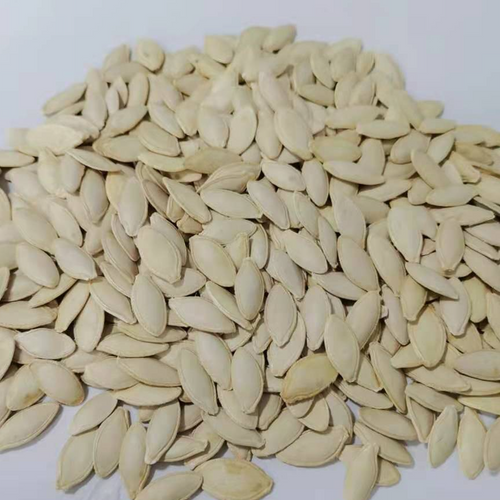 LADY NAIL PUMPKIN SEEDS Gulfood 2025